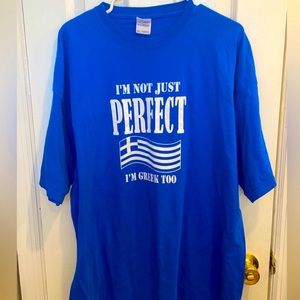 NWOT Greek graphic Gildan tshirt XXL